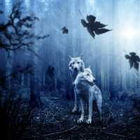 Wolves in the spooky forest at twilight