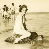 Young woman riding on the back of a turtle at Mon Repos Beach in Bundaberg, Queensland, Australia