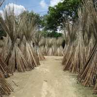 Straw tents in Bangladesh