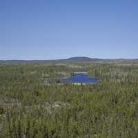Hill and Lakes in the Middle of the Pine Forest on the Ingraham Trail