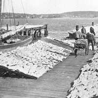 Fish Drying on the Wharf in Halifax, Nova Scotia, Canada
