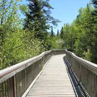 The walkway at Ouimet Canyon, Ontario, Canada