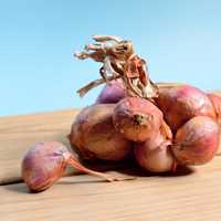 Purple Onions on wooden table