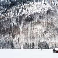 Winter with snow and trees with cabin in Graswang, Germany