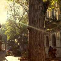 Light shining on city and trees in Athens