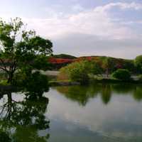 Lakeview of Lalbagh Park in Bangalore, India