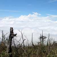 Landscape and a Sea of Clouds in Indonesia