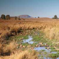 Plains and streams landscapes on Golan Heights in Israel