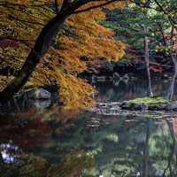 Autumn Leaves and Lake in Kyoto, Japan