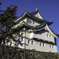 Looking at Nagoya Castle, Japan