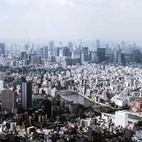 Expansive Tokyo metropolis with buildings, towers, and cityscape, in Japan