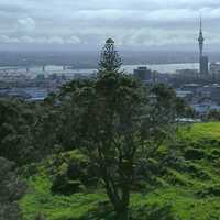 Landscape view from atop Mount Eden in Auckland, New Zealand
