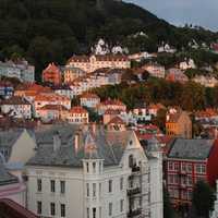 Houses on the Hill in Bergen, Norway
