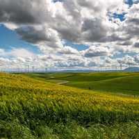 Windswept landscape with clouds and windmill farm