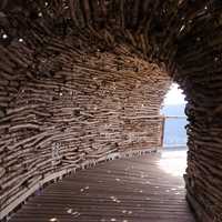 Wooden sticks tunnel