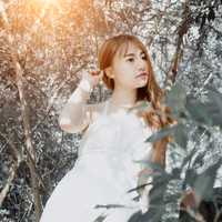 girl-in-white-dress-in-the-forest-with-light