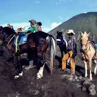 People with horses on the mountain