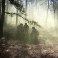Soldiers in the forest in the morning mist