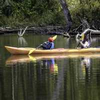 two-people-rowing-a-yellow-canoe