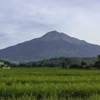 Mount Canlaon landscape in the Philippines