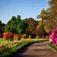 Bellingrath Gardens landscape in Alabama