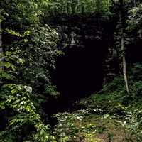 Entrance to Russell Cave in Alabama