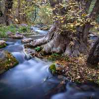 Steady rushing flowing water at Coconino National Forest