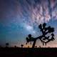 Landscape, night sky, and clouds at Joshua Tree National Park, California