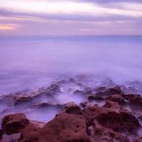 Fog by the Seashore in San Diego, California