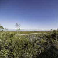 Walkway and landscape in Everglades National Park