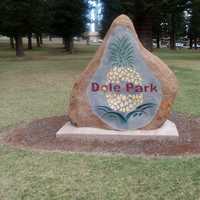 Dole Park Rock Statue in Lanai City, Hawaii