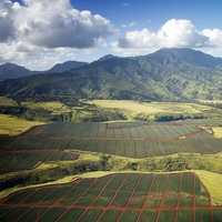 Farms, Mountains, and Landscape in Hawaii
