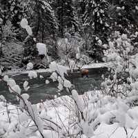 Winter on the Saint Joe River