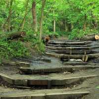 Hiking Steps at Starved Rock State Park, Illinois