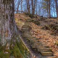 Steps up the hill at Maquoketa Caves State Park, Iowa