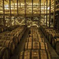 Barrels of Whiskey in the storage Room