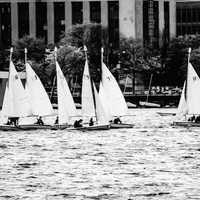 Sailboats on the river in Boston, Massachusetts