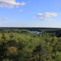 Park view from the tower at lake Itasca state park, Minnesota