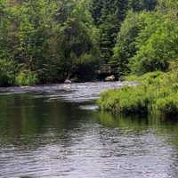 Baptism River  in Superior National Forest, Minnesota