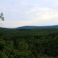 View of Superior National Forest, Minnesota