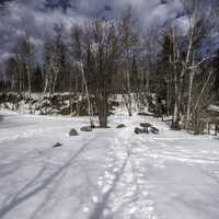 Snowy hiking path at Temperance River State Park, Minnesota