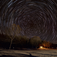 Star Trails above the woods