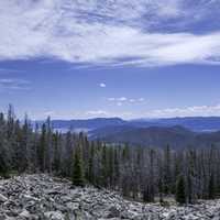 Mountaintop landscape with pine trees under the sky in the Elkhorn Mountains