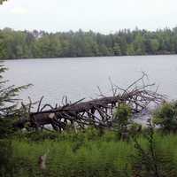Lake landscape in Promised Land State Park, Pennsylvania