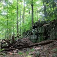 Rock at Promised Land State Park, Pennsylvania