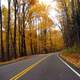 Autumn roadway between the trees in Great Smoky Mountains National Park, Tennessee
