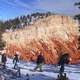 Snowshoe trails in the winter at Bryce Canyon National Park, Utah