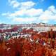 Winter landscape and rock amphitheatre in Bryce Canyon National Park, Utah
