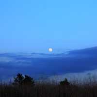 Early night Moon in the Black River Forest