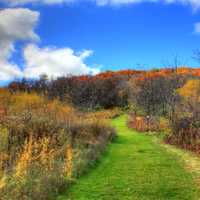 Autumn hiking path in Blue Mound State Park, Wisconsin